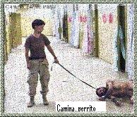 DEPREDADOR_MAYOR